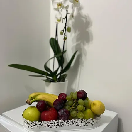Appartamento * 로마